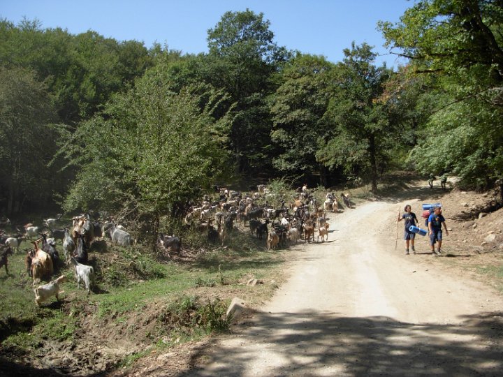 DSCN2895.JPG