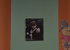 DSC 1659