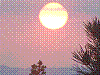 Immagine 089.jpg