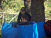 Immagine 118.jpg