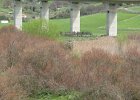 DSCN5721