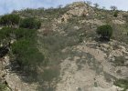 DSCN5739