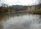 DSCN5827