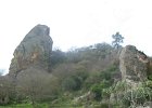 DSCN5842