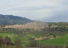 DSCN5854