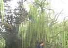 DSCN5897