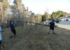 DSCN6145
