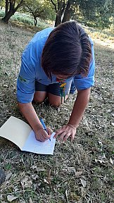 Route Estiva 2020