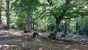 Campo Estivo 2023