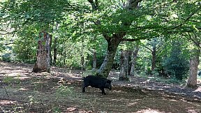 Campo Estivo 2023