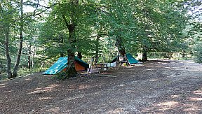 Campo Estivo 2023