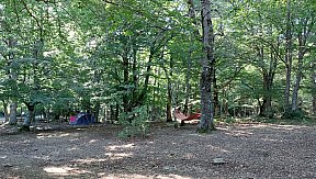 Campo Estivo 2023