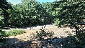 Campo Estivo 2023