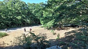 Campo Estivo 2023