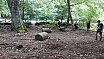 Campo Estivo 2023