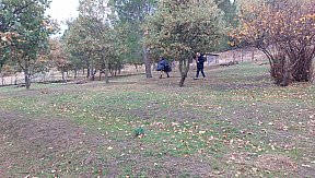 Campo Invernale 