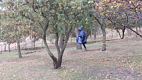 Campo Invernale 