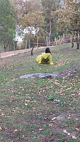 Campo Invernale 