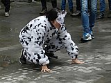 Piccole Tracce di farina 2016 (Regalbuto)