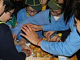 Piccole Tracce di farina 2016 (Regalbuto)