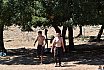 Campo Estivo 2022