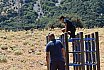 Campo Estivo 2022