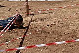 Campo Estivo 2022