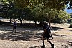 Campo Estivo 2022
