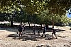Campo Estivo 2022
