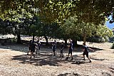 Campo Estivo 2022