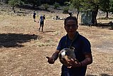 Campo Estivo 2022