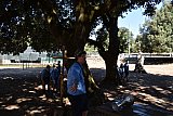 Campo Estivo 2022