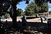 Campo Estivo 2022
