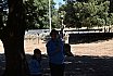 Campo Estivo 2022