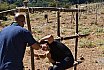Campo Estivo 2022