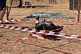 Campo Estivo 2022