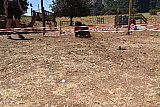 Campo Estivo 2022