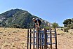 Campo Estivo 2022