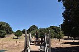 Campo Estivo 2022