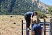 Campo Estivo 2022