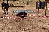 Campo Estivo 2022