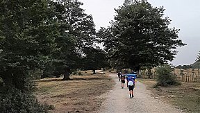 Route Estiva 2021