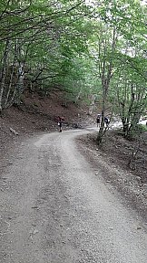 Route Estiva 2021