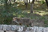 Route Estiva 2021