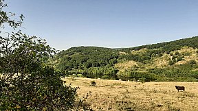 Route Estiva 2021