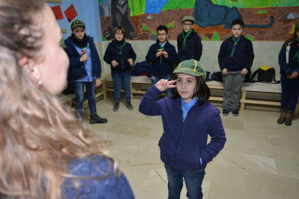 dsc-0443C679D528-AD50-57E6-CB7F-CEBD1F311317.jpg