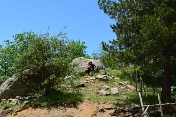 dsc-0177EADFA7CA-9360-C995-AFD6-E443C09F62F8.jpg