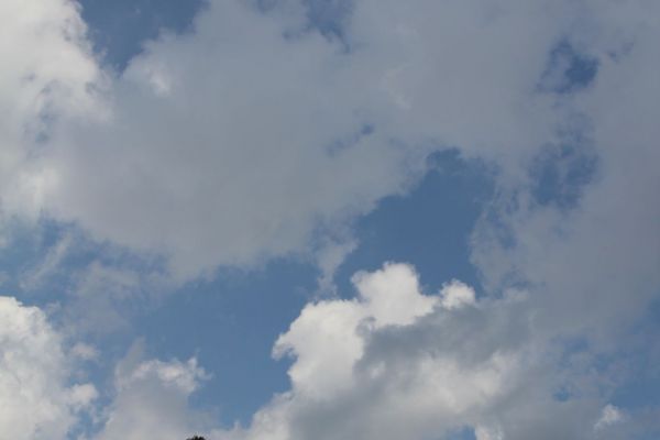 img-1901B22E60B7-6C9E-2996-A769-94B728A8B4D8.jpg