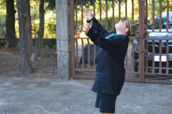 dsc-0542CDCC57C3-BD9F-9907-1430-3D516C8236CD.jpg