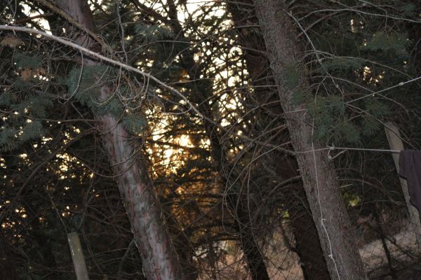 dsc-085712FB9ED7-9171-8994-3FF3-0294E8F06E9E.jpg